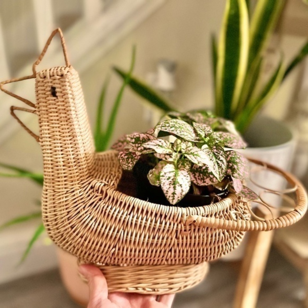 Vintage boho decor Chicken Wicker Basket creel